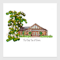 THE OAK TREE OF PEOVER